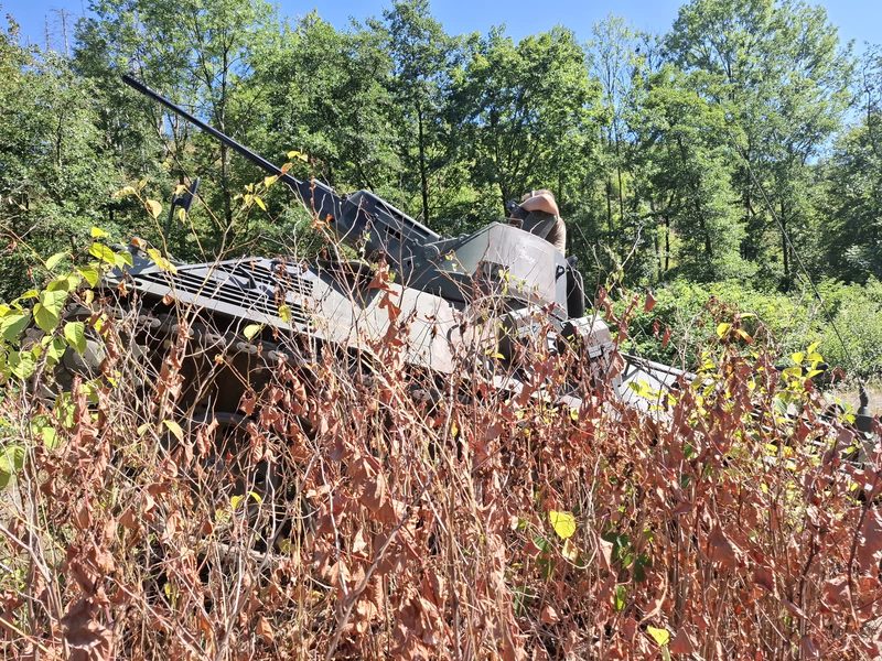 Kettenpanzer hinter dichtem Bewuchs