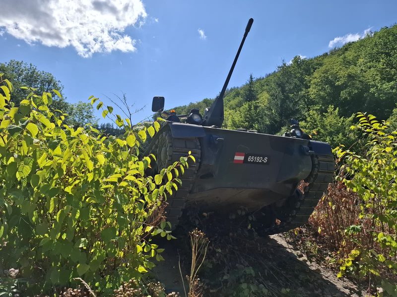 Kettenpanzer im hohen Grün, von unten aufgenommen
